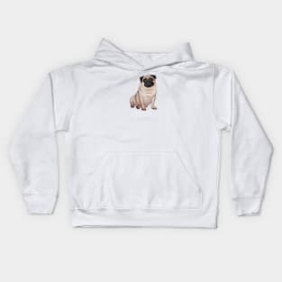 A Fawn Pug - Just the Dog Kids Hoodie